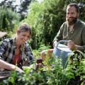 Growing Your Own Food in Fairfax, Virginia: Community Gardens and Farmers Markets