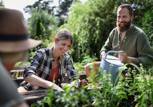 Growing Your Own Food in Fairfax, Virginia: Community Gardens and Farmers Markets